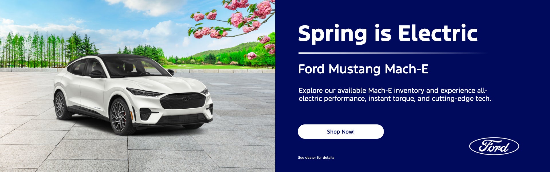 Ford Mustang Mach-E